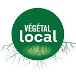 Logo-Végétal-Local