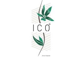 logo ico solutions