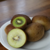 fruit kiwi vert jaune